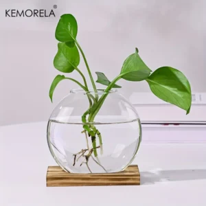 Hydroponic Glass Planter with Wood Stand – Indoor Desk Decor